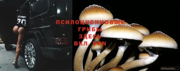 экстази Бронницы