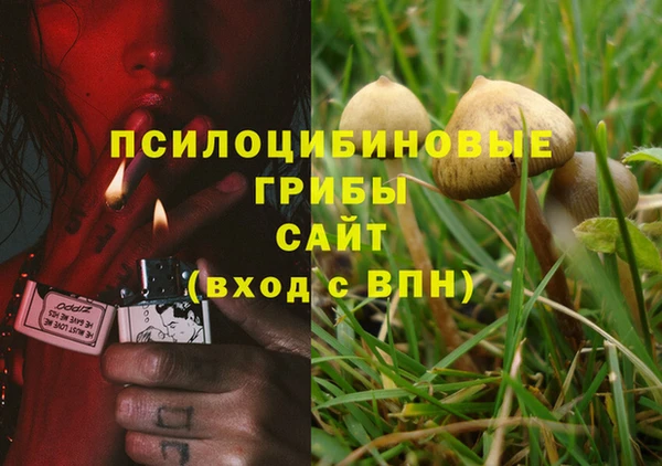 экстази Бронницы